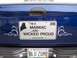 20 American BLUZUMR Tailgate.jpg